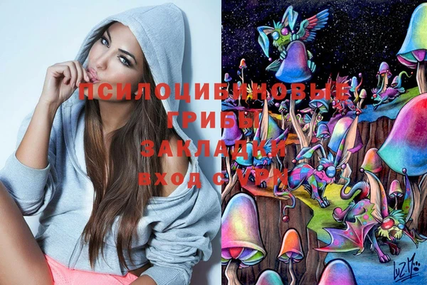 индика Михайловка