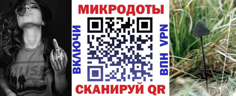 Галлюциногенные грибы Psilocybe  как найти закладки  блэк спрут   Димитровград 