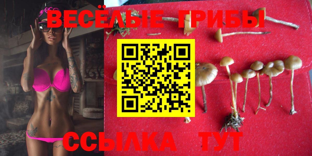 Псилоцибиновые грибы Magic Shrooms Димитровград