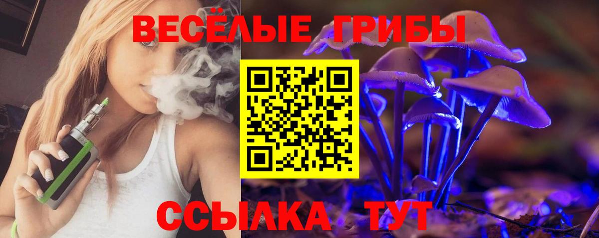 Псилоцибиновые грибы GOLDEN TEACHER  купить закладку  Вход с VPN  Димитровград  Псилоцибиновые грибы мицелий 