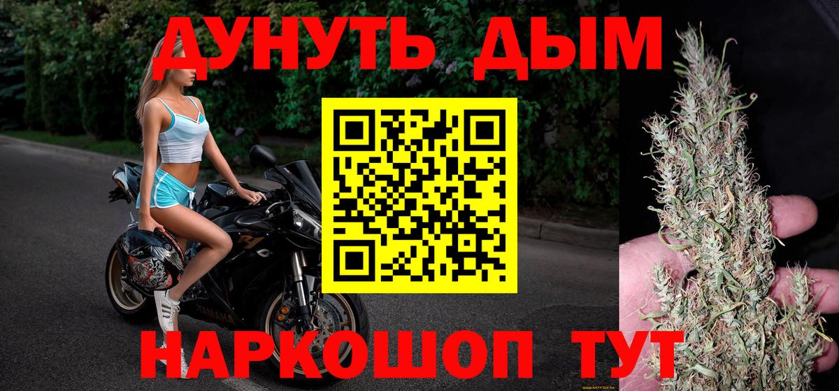 Конопля ГИДРОПОН  Бошки Шишки гибрид  Вход с VPN  Димитровград  Каннабис ГИДРОПОН 